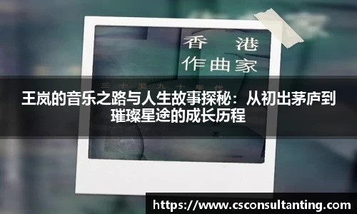 王岚的音乐之路与人生故事探秘：从初出茅庐到璀璨星途的成长历程
